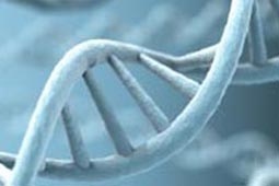 免费轰炸软件版